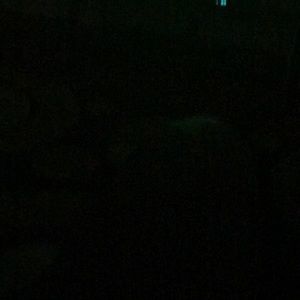 Meet your Posher, Emmanuel